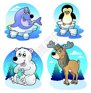 各种可爱的冬季动物图片