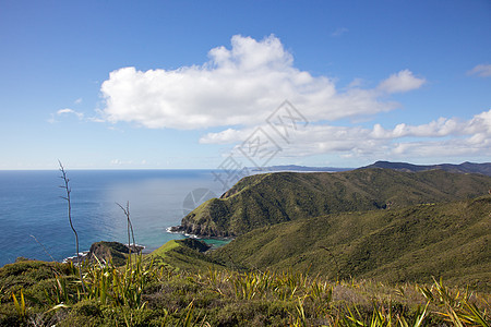 沿海场景海洋破坏海湾假期旅行海岸图片