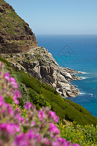 查普曼峰旅行驾驶野花岩石顶峰海岸风景假期半岛悬崖图片