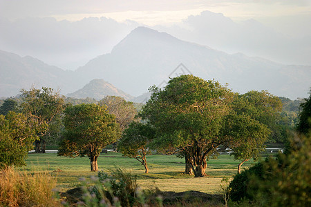 Kandalama山丘图片