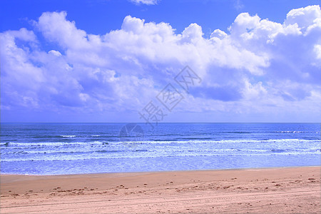 佛罗里达州假期天空蓝色海岸线晴天栖息地海洋海景冲浪支撑图片