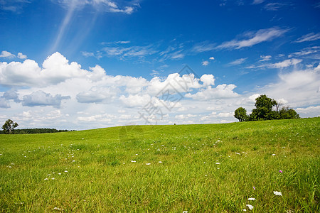 夏季风景小麦天空蓝色地平线农场牧场场景爬坡孤独场地图片