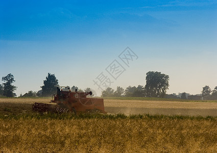 联合公司履行他的工作天空草地自然世界庄稼场地自动化农业风光小麦栽培图片