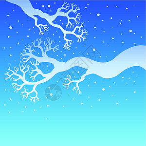 有雪天树枝的树枝图片