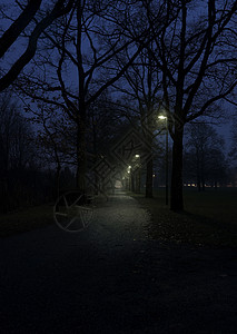 夜间步行公园红绿灯旅行脚路木头街道照明自行车图片