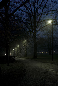 夜间步行红绿灯木头照明旅行自行车公园脚路街道图片