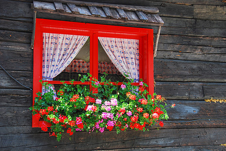 2007年8月 意大利多洛米特 窗口的鲜花 2007年8月图片