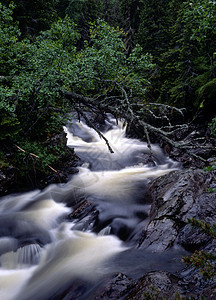 山涧流水季节荒野公园流动蓝色场景溪流太阳运动岩石图片