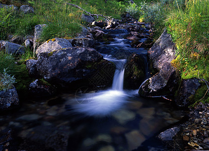 美丽的山溪流植物季节森林风景公园荒野石头瀑布环境阳光图片