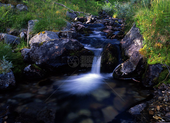 美丽的山溪流植物季节森林风景公园荒野石头瀑布环境阳光图片