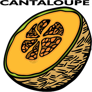 坎塔罗普物品插图食物夹子黑色剪贴白色生产绘画艺术图片