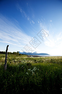 挪威风景草地场地荒野牧场乡村海洋图片