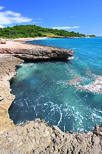 Guanica保留地波多黎各公园爬坡树叶植被叶子巨石森林假期海洋岩石图片