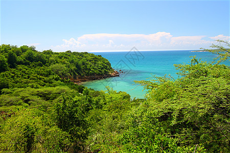 Guanica保留地波多黎各森林爬坡公园假期栖息地天空生态旅游支撑热带植被图片