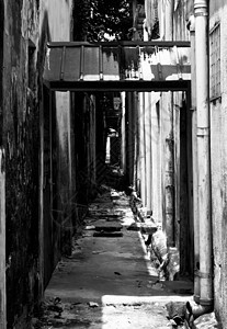 长途公路孤独犯罪建筑城市街道黑色通道建筑学图片