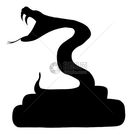 蛇动物白色剪影獠牙野生动物黑色插图滑行爬行动物图片