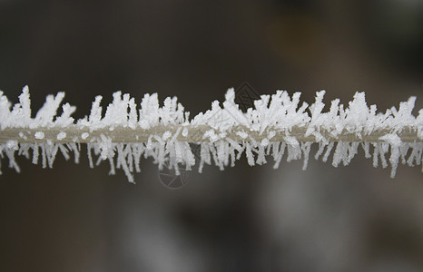 平间冻结雾凇水晶窗户温度结晶雪花季节寒冷气候图片