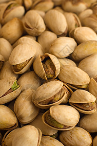 Pistachios 螺旋藻蔬菜盐渍味道贝壳植物绿色棕色食物营养饮食图片