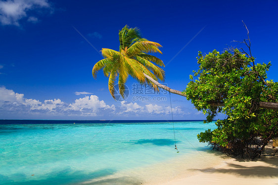 马尔代夫的热带天堂场景海浪风景假期阳光气候植物旅行游泳旅游图片