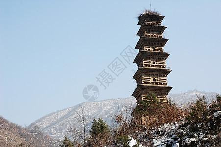 古代塔寺公园旅游佛教徒建筑树木蓝色宗教文化建筑学寺庙图片