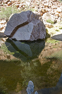 沙漠池旅行池塘沼泽勘探岩石石头风景领土图片