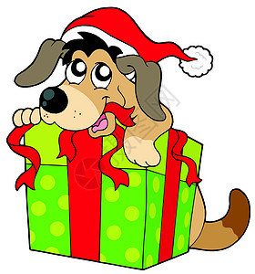 圣诞老人帽子可爱的狗狗图片