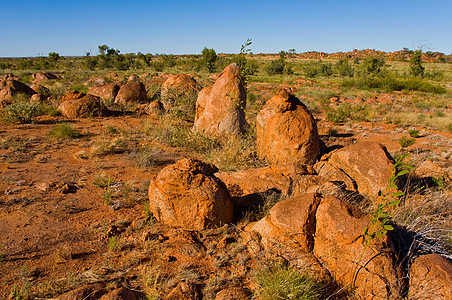 澳洲地貌场地岩石国家乡村旅行植被风景衬套领土土地图片