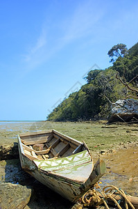 海滩沙滩旅行海洋情调旅游支撑阳光海岸享受海景蓝色图片