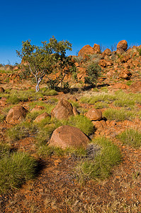 澳洲地貌领土旅行土地乡村国家沙漠风景岩石衬套植被图片