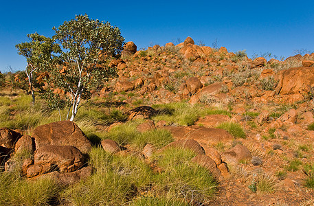 澳洲地貌国家土地植被岩石场地沙漠旅行领土风景衬套图片