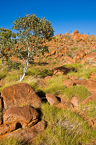 澳洲地貌乡村领土植被风景旅行国家岩石衬套场地图片