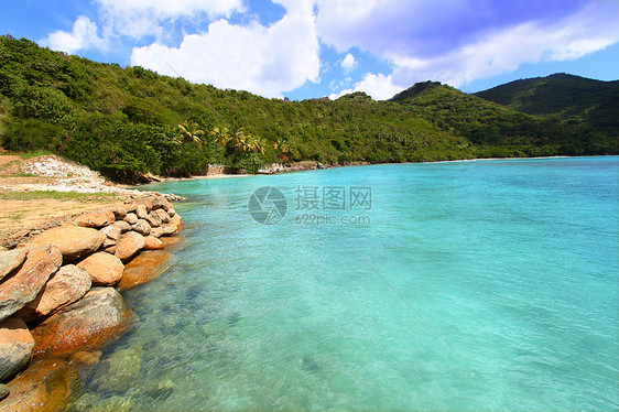 托尔托拉湾啤酒湾爬坡阳光岛屿酿酒师环境蓝色旅行啤酒商海洋冲浪图片