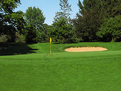 高尔夫课程高尔夫球大车爱好球道竞争木头绿色竞赛运动球座图片
