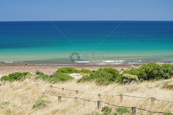 美丽的澳大利亚海岸 阿德莱德州热带阳光海滩假期海浪爬坡支撑石头明信片植物图片