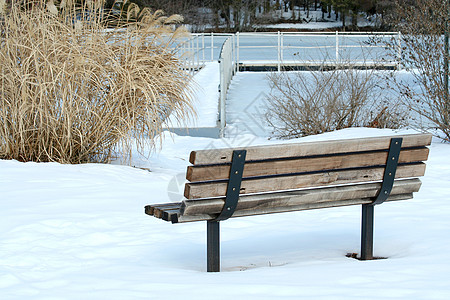 冬天的孤单公园长凳图片