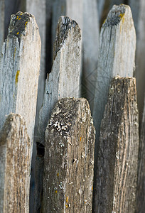 选取栅栏阳光家庭生活木头蓝色腐烂围栏背景图片