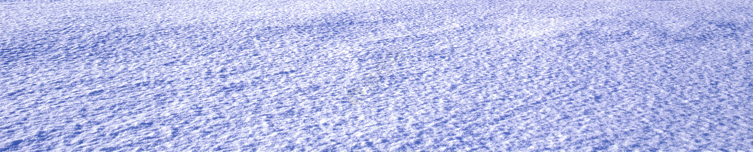 美丽的寒冬雪树风景孤独旅游薄雾假期气候场地场景农村阳光太阳图片