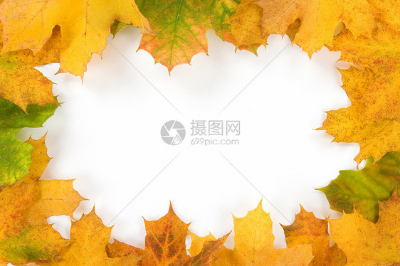 秋叶树叶制作的彩色边框红色季节黄色绿色天气橙子图片