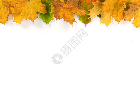 秋叶树叶制作的彩色边框绿色红色橙子天气黄色季节图片
