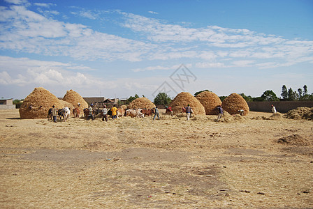 埃塞俄比亚农民图片