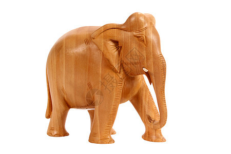 大象白色木雕哺乳动物小路动物棕色獠牙象牙剪裁动物学图片