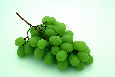 葡萄早午餐拉子藤蔓绿色水果树叶葡萄园叶子酒厂瓶子软木图片