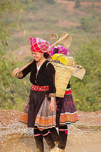 两名年轻女性花朵苗多样性山地农业戏服青年风俗传统乡村部落工作图片