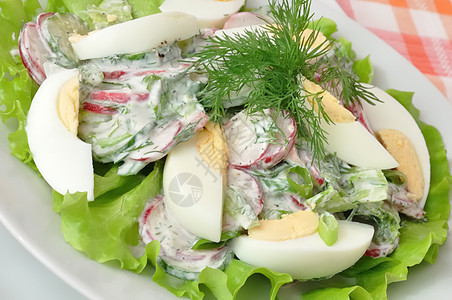 配有鸡蛋的沙拉种子白色香菜产品香料蔬菜洋葱午餐饮食敷料图片