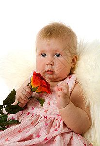 抱抱女婴的玫瑰花图片