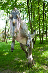 环极龙纳西诺尔基石化爬虫盆纪环境模仿恐龙森林痕迹身体蜥蜴图片