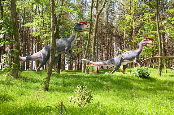 湿性化石三重奏考古学石化环境蜥蜴怪物猎人恐龙树木图片