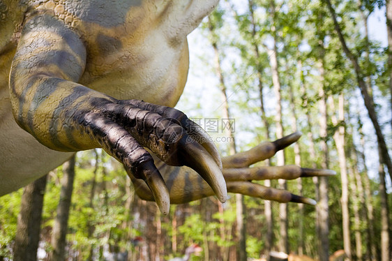 allocolus 亚二硅捕食者石化盆纪尾巴猎人蜥蜴爪子模仿考古学恐慌图片