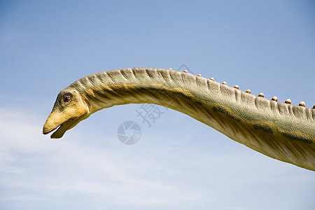 Diplodocus 长颈颈环境时间考古学蜥蜴猎人模仿石化恐慌盆纪怪物图片