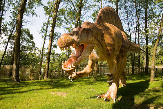 脊柱词库催化石模仿捕食者盆纪攻击身体蜥蜴恐龙棘龙三重奏化石图片